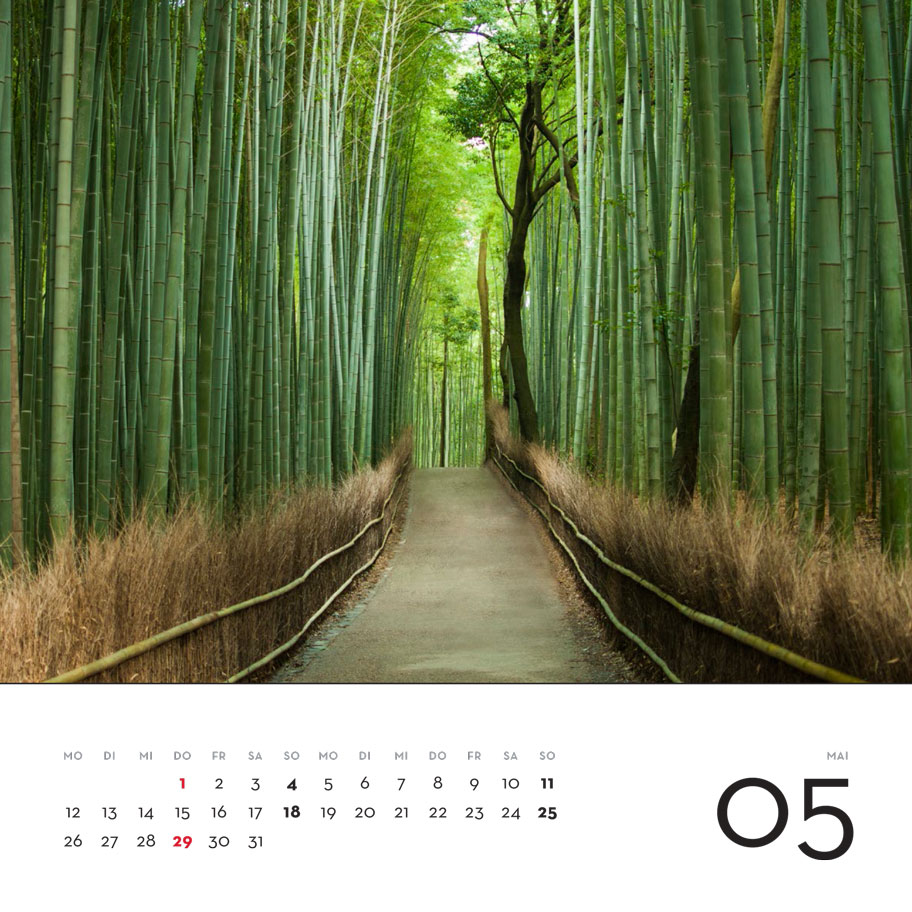May: Sagano bamboo forest, Arashiyama, Kyoto, Japan (Dec. 2013)